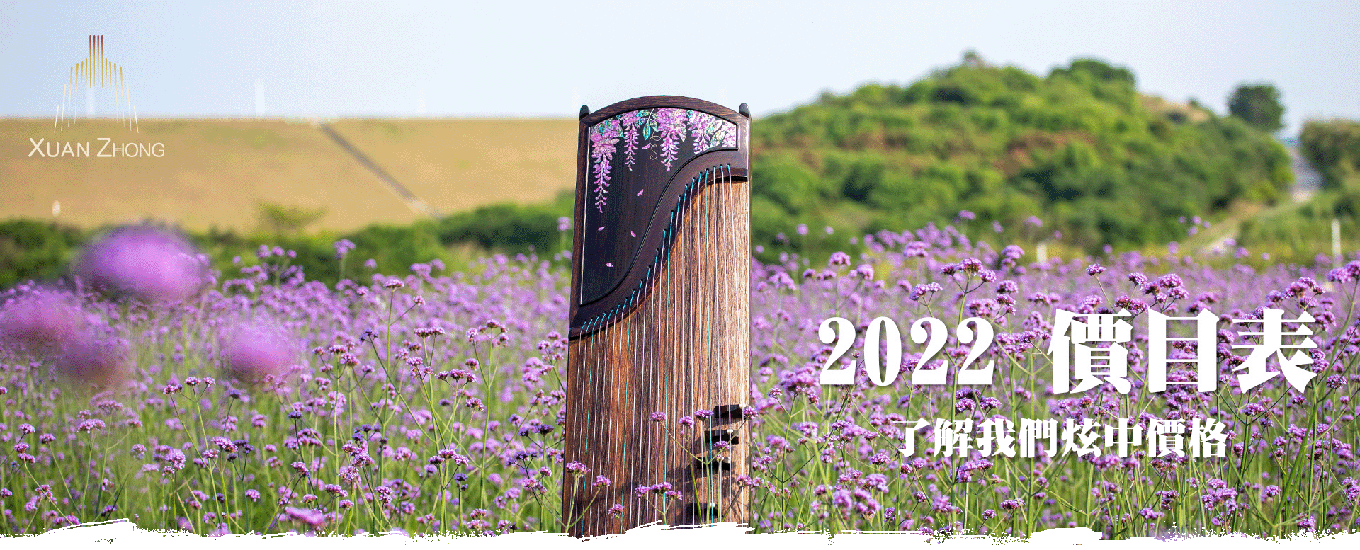 香港炫中價目表2022